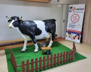 Miniaturka: Odwiedziny krowy Mućki