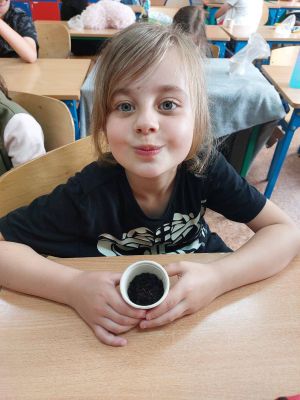 Miniaturka: Zajęcia z wykorzystaniem zestawów mini ogródków